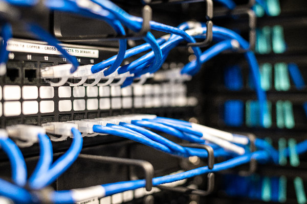blue ethernet cables in a server|
